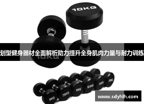 划型健身器材全面解析助力提升全身肌肉力量与耐力训练