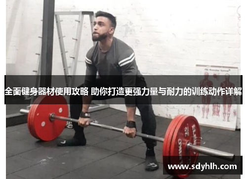 全面健身器材使用攻略 助你打造更强力量与耐力的训练动作详解