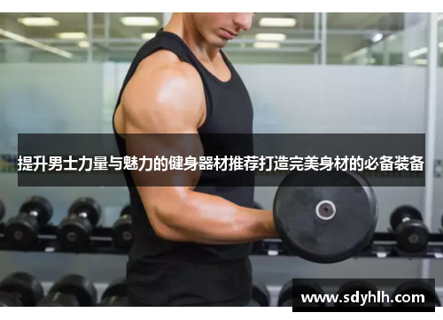 提升男士力量与魅力的健身器材推荐打造完美身材的必备装备