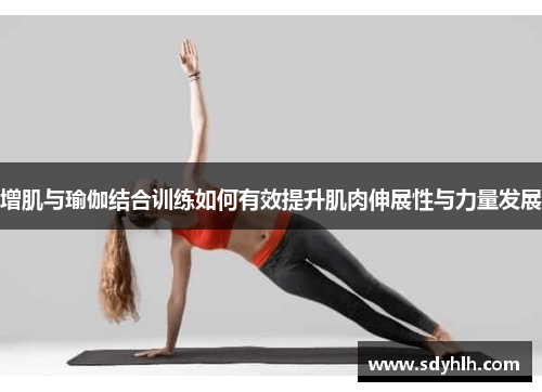 增肌与瑜伽结合训练如何有效提升肌肉伸展性与力量发展