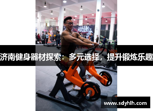 济南健身器材探索：多元选择，提升锻炼乐趣