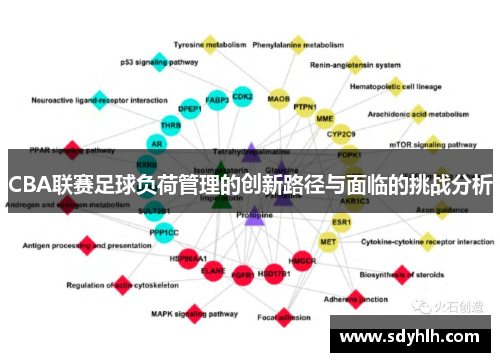 CBA联赛足球负荷管理的创新路径与面临的挑战分析