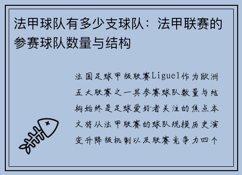 法甲球队有多少支球队：法甲联赛的参赛球队数量与结构